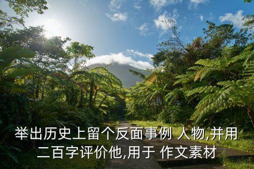 举出历史上留个反面事例 人物,并用二百字评价他,用于 作文素材