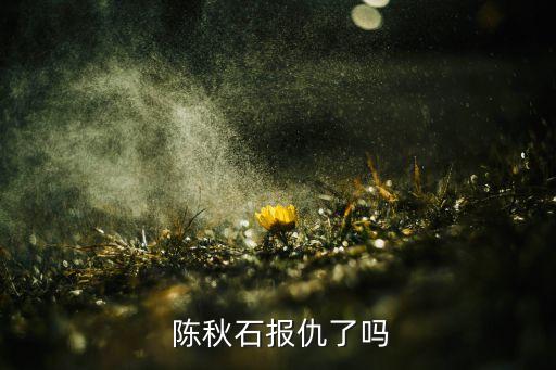  陈秋石报仇了吗
