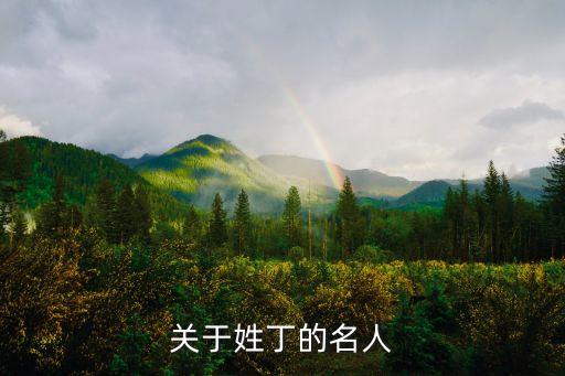 关于姓丁的名人