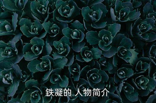 铁凝的 人物简介