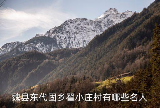 魏县东代固乡翟小庄村有哪些名人