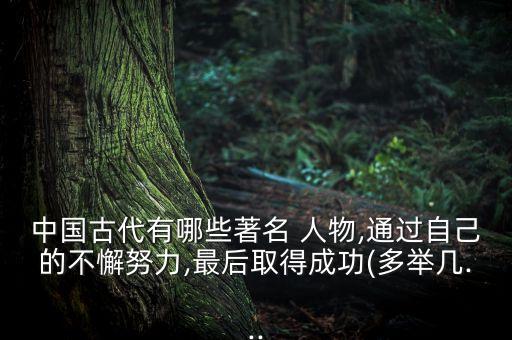 中国古代有哪些著名 人物,通过自己的不懈努力,最后取得成功(多举几...