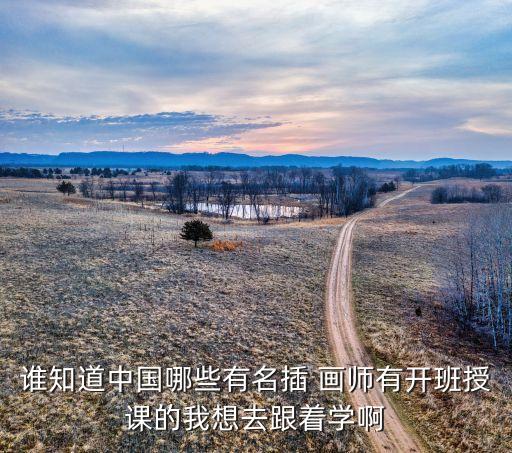 谁知道中国哪些有名插 画师有开班授课的我想去跟着学啊
