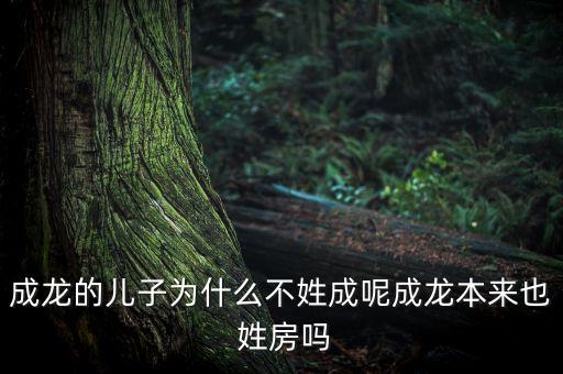姓房的历史人物有哪些,姓王的历史人物有哪些 出名