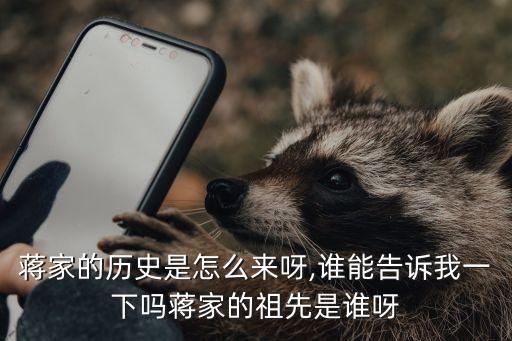 蒋家的历史是怎么来呀,谁能告诉我一下吗蒋家的祖先是谁呀