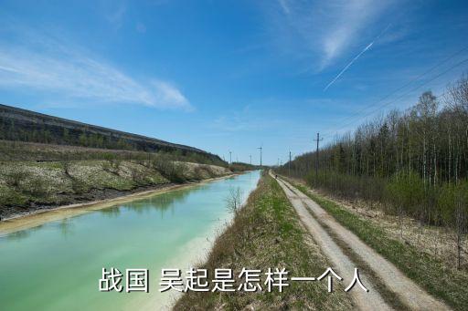 吴起是什么历史人物的人,吴起有哪些历史人物
