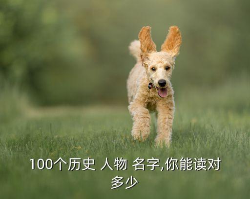 100个历史 人物 名字,你能读对多少