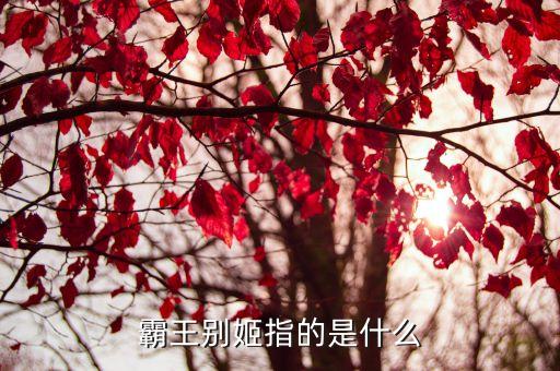霸王别姬指的是什么