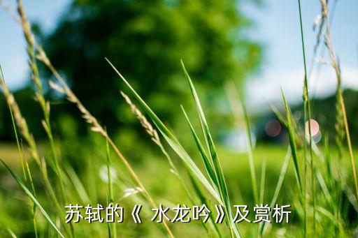 苏轼的《 水龙吟》及赏析
