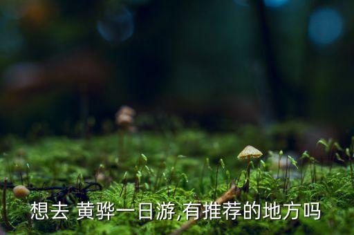 黄骅有什么历史人物
