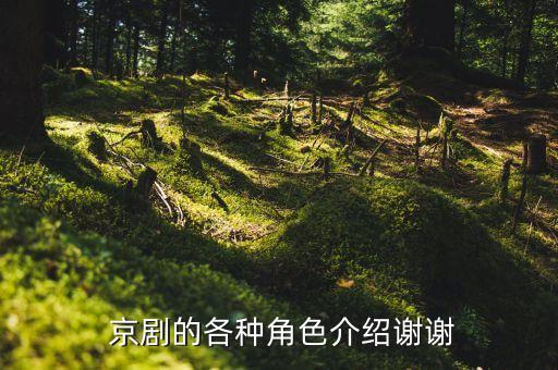  京剧的各种角色介绍谢谢