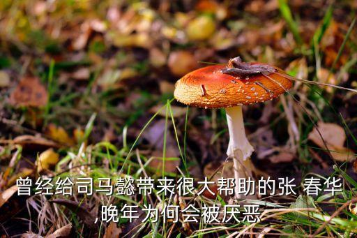 曾经给司马懿带来很大帮助的张 春华,晚年为何会被厌恶