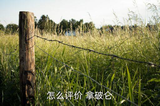 拿破仑为什么成为历史人物,如何评价像拿破仑这样的历史人物