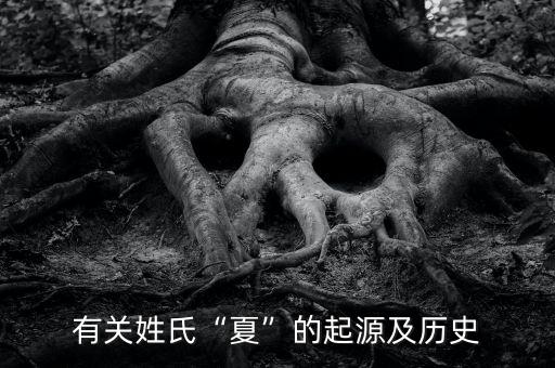 姓夏的历史人物故事有哪些,姓高的历史人物及优秀故事