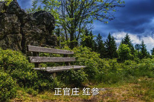 正官庄 红参