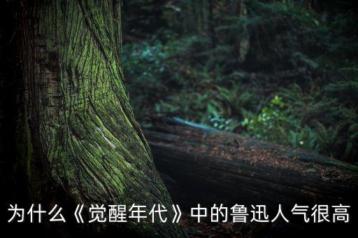 为什么《觉醒年代》中的鲁迅人气很高