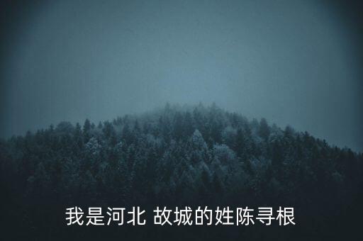 我是河北 故城的姓陈寻根