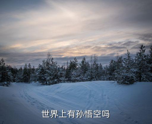 世界上有孙悟空吗
