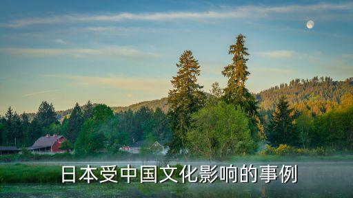  日本受中国文化影响的事例