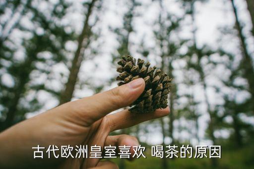 历史人物为什么喜欢喝茶,爱喝茶的历史人物