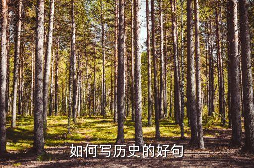 如何写历史的好句
