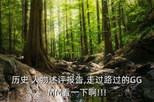 历史 人物述评报告,走过路过的GGMM看一下啊!!!