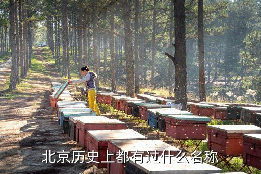 北京历史上都有过什么名称