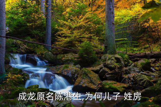 成龙原名陈港生,为何儿子 姓房