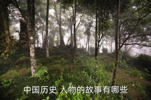 中国历史 人物的故事有哪些