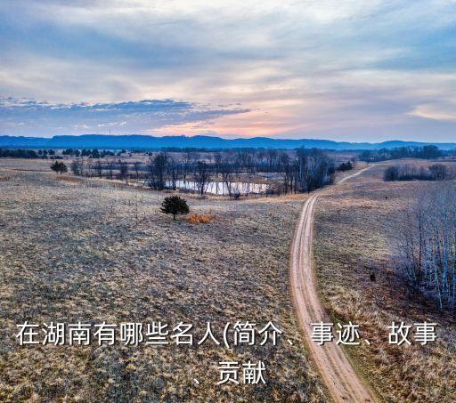 在湖南有哪些名人(简介、事迹、故事、贡献