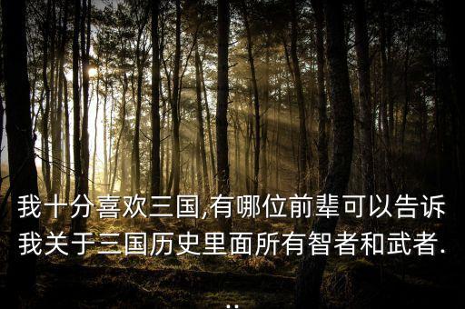 我十分喜欢三国,有哪位前辈可以告诉我关于三国历史里面所有智者和武者...