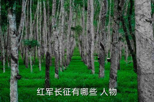 红军长征有哪些 人物