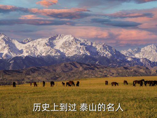 历史上到过 泰山的名人