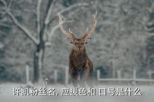 历史人物应援口号是什么,张艺兴应援口号和手势是什么