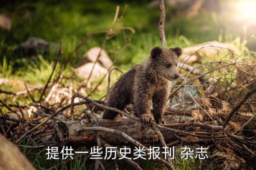 历史人物杂志哪个好,什么杂志能看懂历史人物