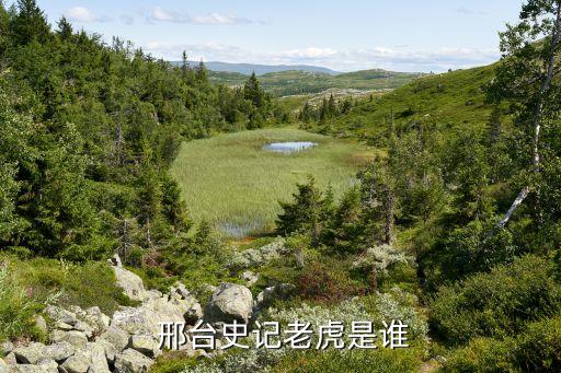  邢台史记老虎是谁