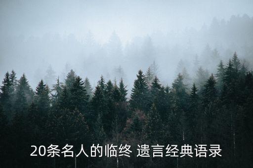 20条名人的临终 遗言经典语录