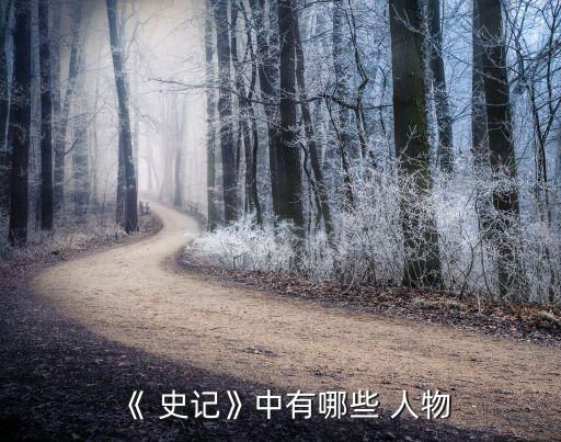 史记有什么历史人物故事,史记是不是历史人物故事