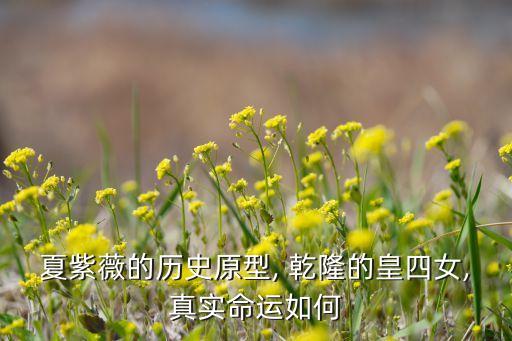 ,乾隆笔下历史人物有哪些