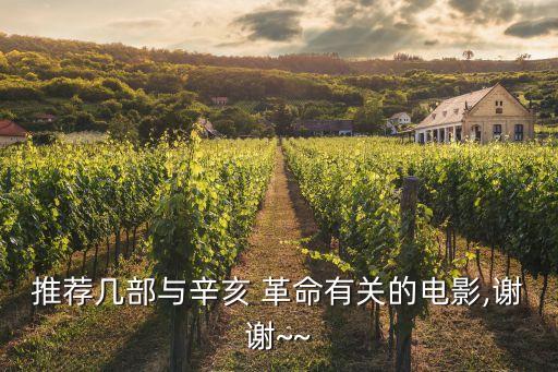推荐几部与辛亥 革命有关的电影,谢谢~~
