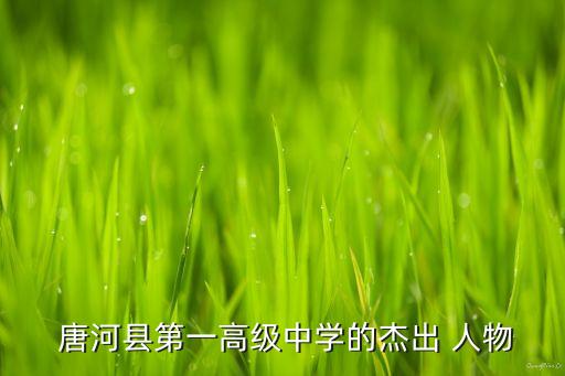  唐河县第一高级中学的杰出 人物