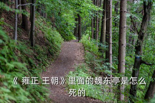 雍正王朝哪些黑暗历史人物