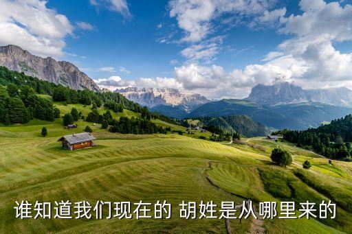 谁知道我们现在的 胡姓是从哪里来的
