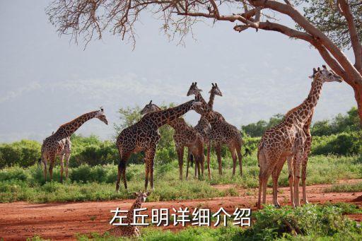 姓左的历史人物有哪些,姓王的历史人物有哪些 出名