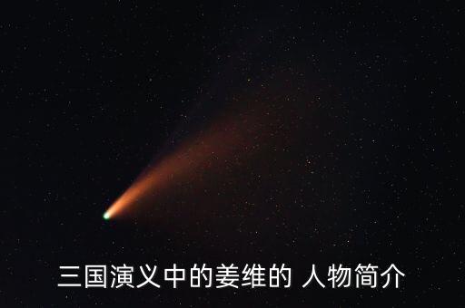 三国演义中的姜维的 人物简介