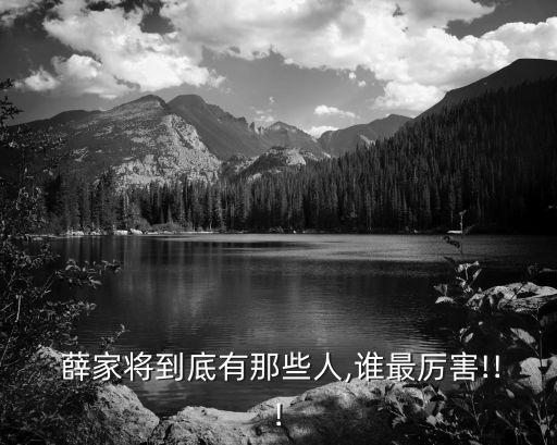  薛家将到底有那些人,谁最厉害!!!
