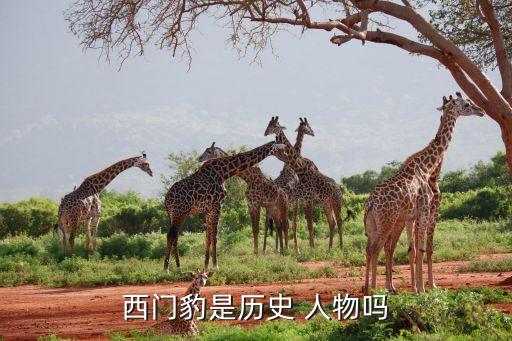 西门豹是历史 人物吗