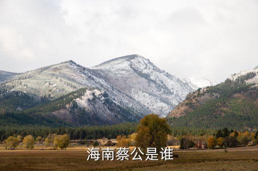  海南蔡公是谁