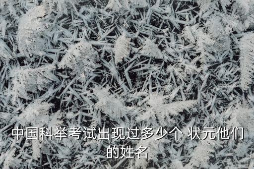 中国科举考试出现过多少个 状元他们的姓名