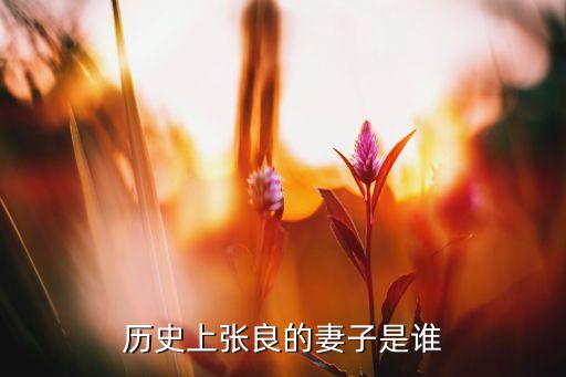 历史上张良的妻子是谁